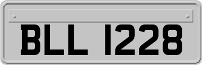 BLL1228