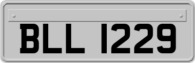 BLL1229