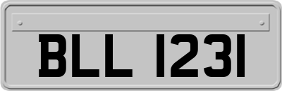 BLL1231