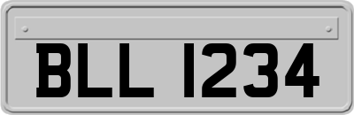 BLL1234