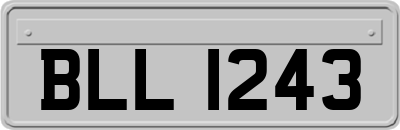 BLL1243