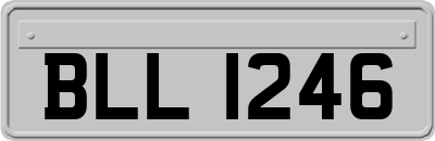 BLL1246