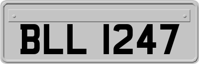 BLL1247