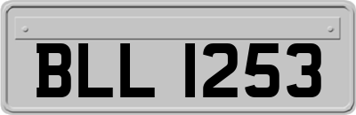 BLL1253