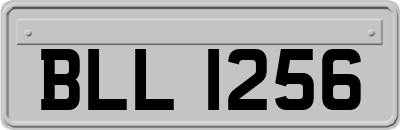 BLL1256