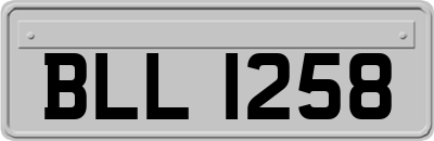 BLL1258
