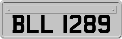BLL1289