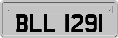 BLL1291
