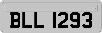 BLL1293