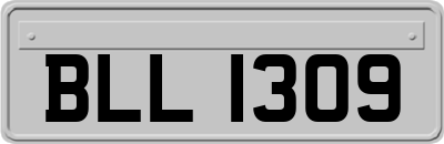 BLL1309