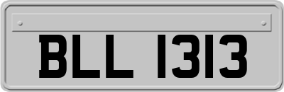 BLL1313