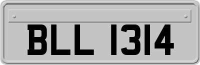 BLL1314