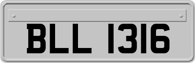 BLL1316