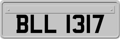 BLL1317