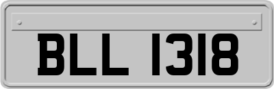 BLL1318