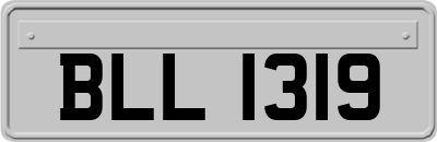 BLL1319