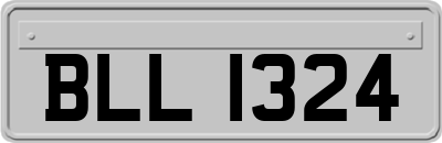 BLL1324