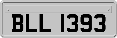 BLL1393