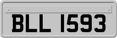 BLL1593