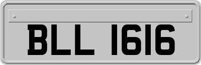 BLL1616
