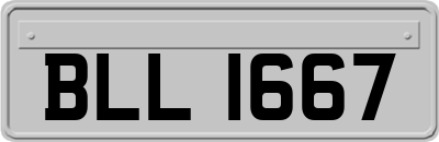 BLL1667