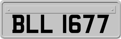 BLL1677