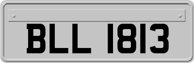 BLL1813