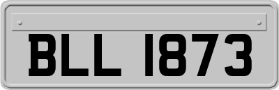 BLL1873