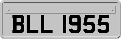 BLL1955