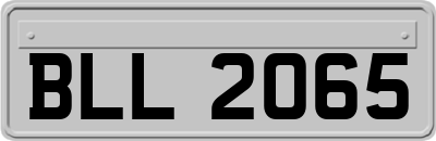 BLL2065