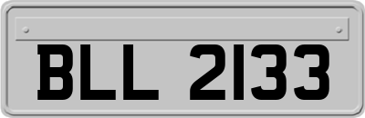 BLL2133