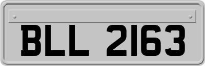 BLL2163