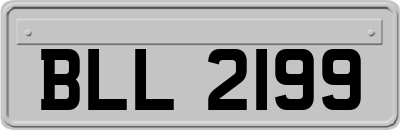 BLL2199