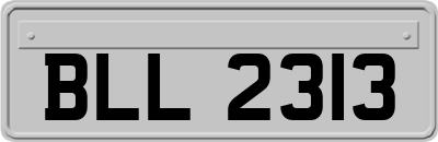BLL2313