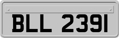 BLL2391