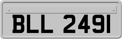 BLL2491