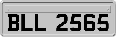 BLL2565