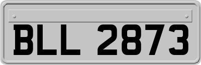 BLL2873