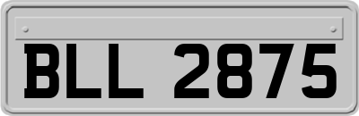 BLL2875