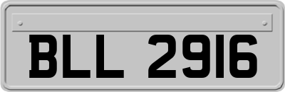 BLL2916