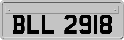 BLL2918