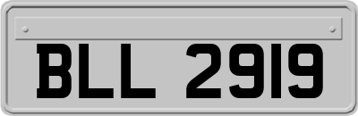 BLL2919