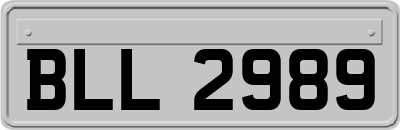 BLL2989
