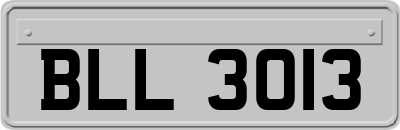 BLL3013
