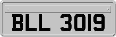 BLL3019