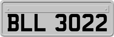 BLL3022