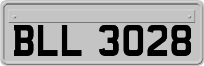 BLL3028