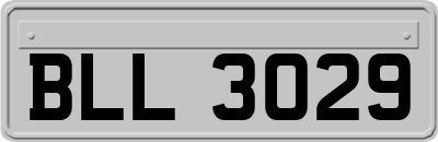 BLL3029