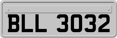 BLL3032
