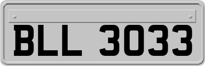 BLL3033
